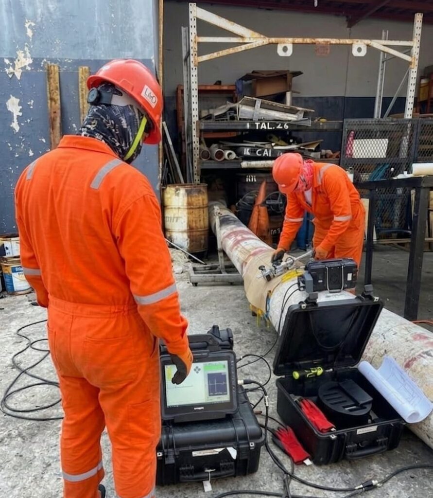 whatsapp image 2026 03 11 at 12.15.46 pm